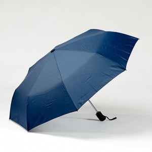 Зонт складной Cambridge COLORISSIMO